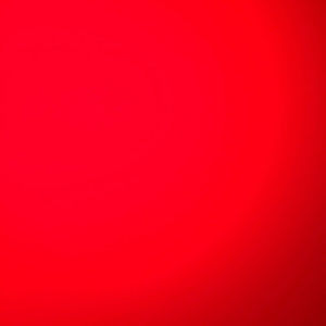 Meet your Posher, Roy